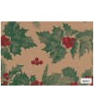 Bobina papel kraft acebo 62cm x 100m