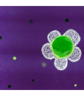 Bobina “celofan” 70cmX50m transparente flores blancas y verdes